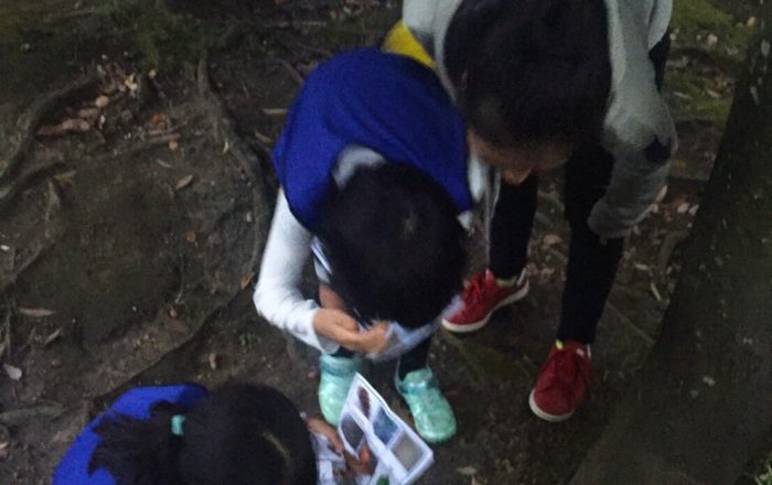 小さい秋見つけた！外に出かけてみんなで探し物。