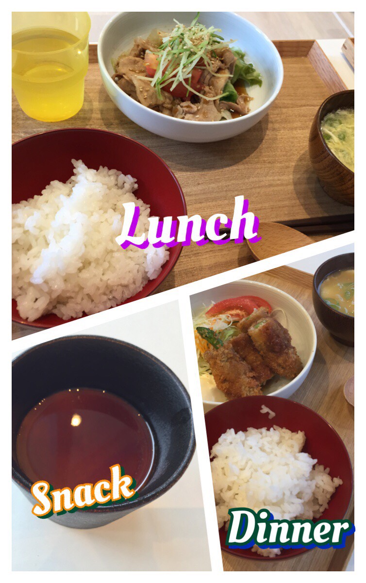 8/16 Wed.肌寒い気候