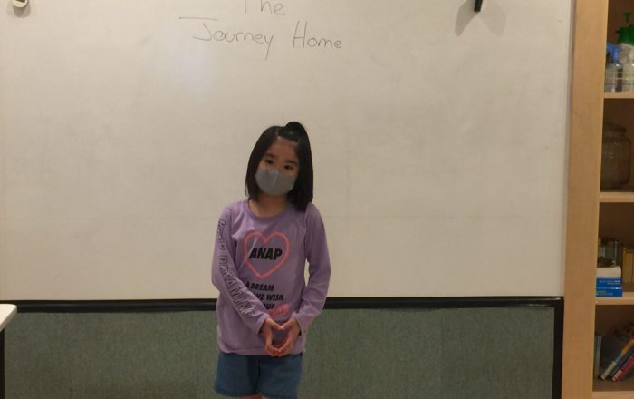 The Journey Homeのチャレンジ