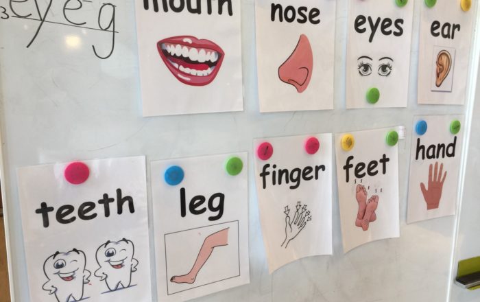 ライティングの基礎