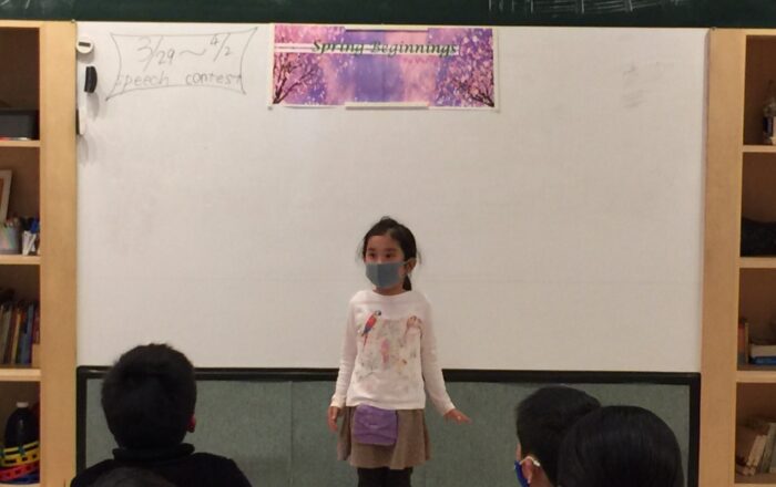 ７Star Rules（スタールール）