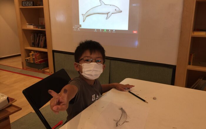 Step-by-step Drawing