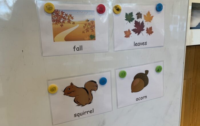 Workshop(ワークショップ)