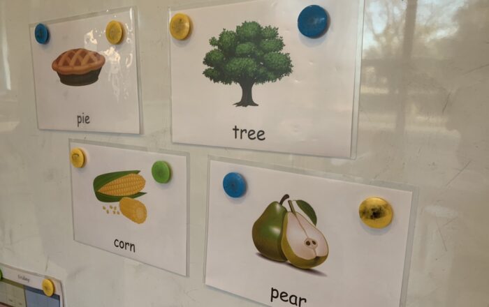 Pre area（プレエリア）