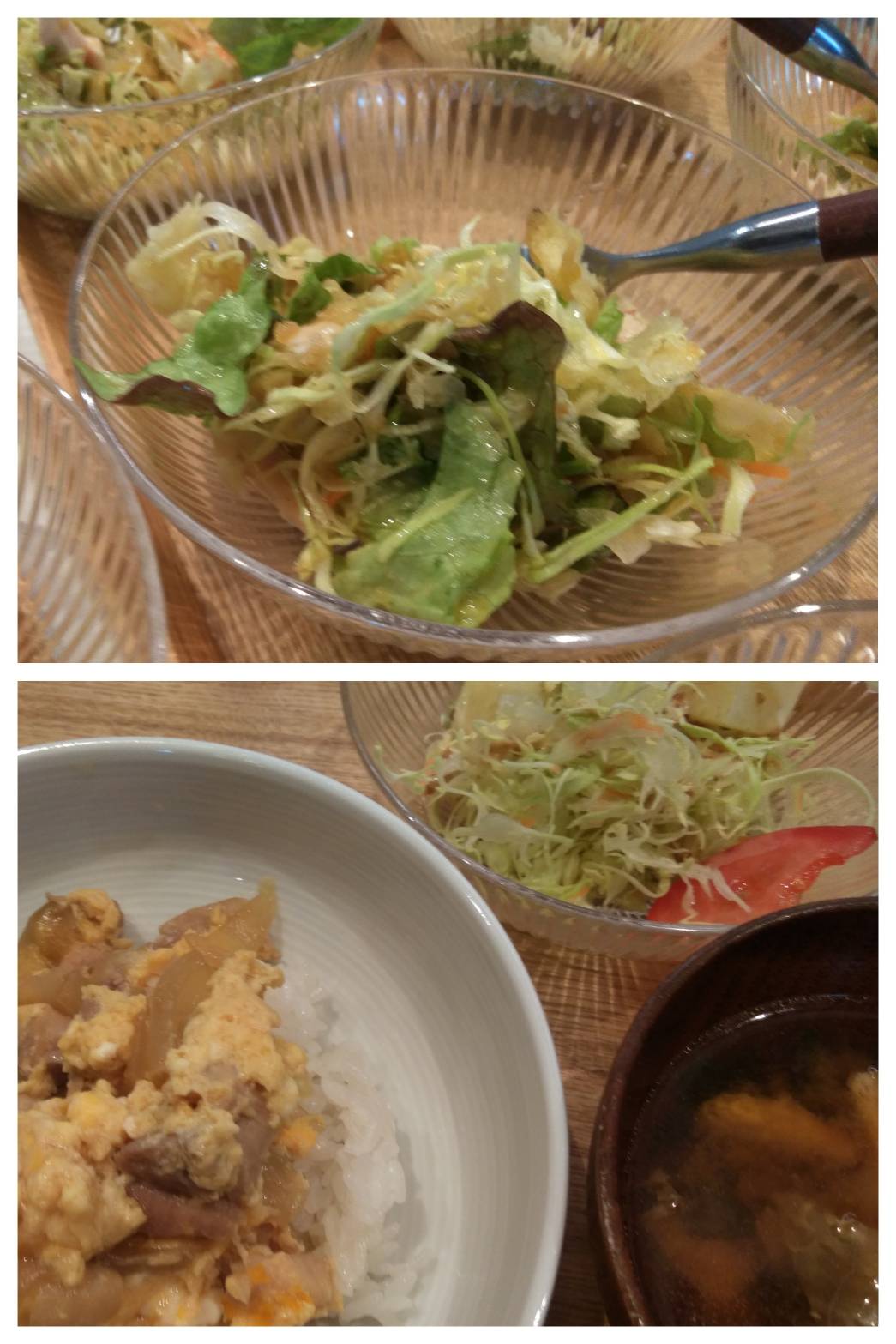 Feb.16th Thu. 親子の傑作