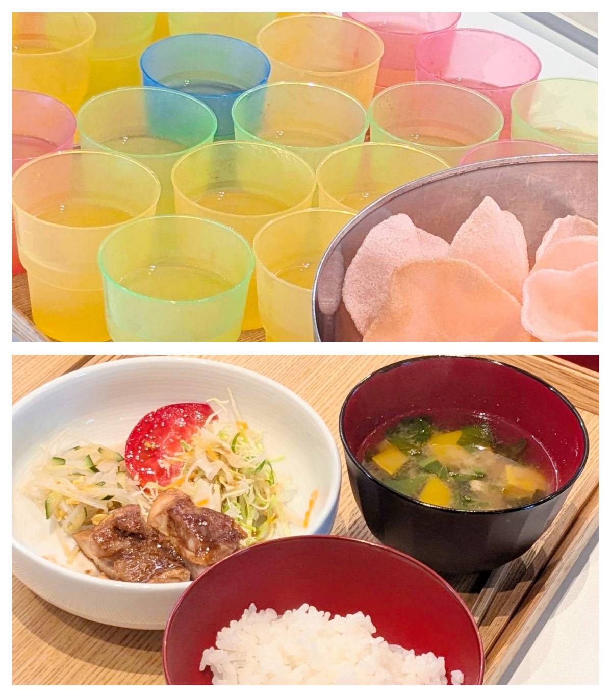 【青葉校】山賊になれるチキン