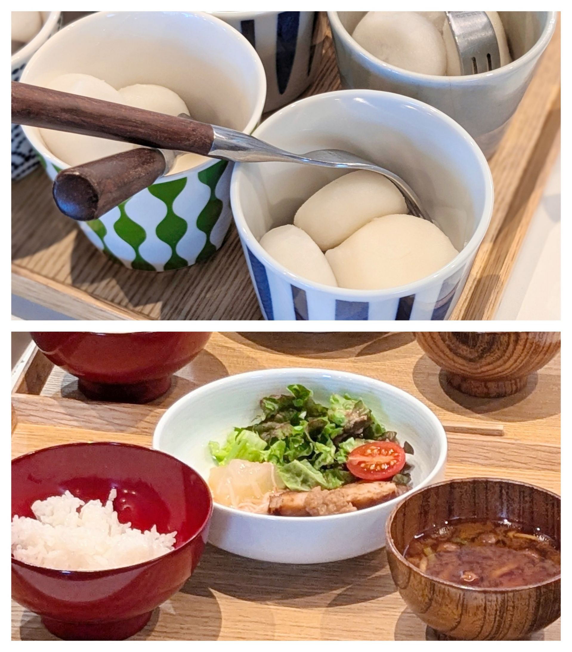 【青葉校】ナメコがたくさん